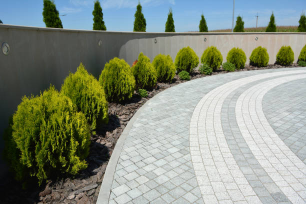 Reasons to Select Us for Your Driveway Paving Requirements in Tolleson, AZ